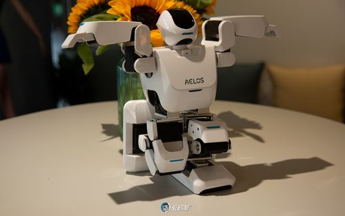 aelos机器人 淘宝-第3张图片-广州国自机器人