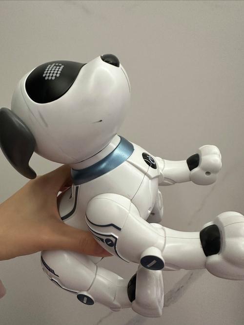 domgy宠物机器人能带来真实陪伴吗？-第1张图片-广州国自机器人