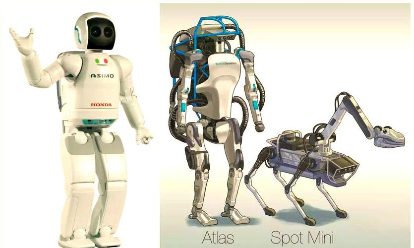 walker采收机器人-第3张图片-广州国自机器人