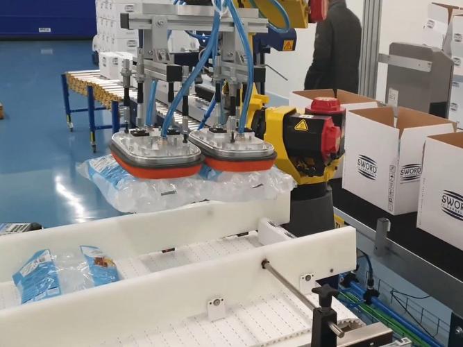 pepper机器人装箱-第1张图片-广州国自机器人 pepper机器人装箱-第1张图片-广州国自机器人