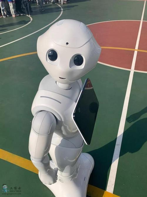 pepper机器人装箱-第3张图片-广州国自机器人