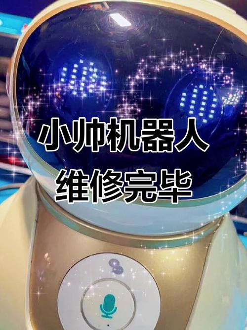 小帅与好帅机器人有何不同？-第3张图片-广州国自机器人