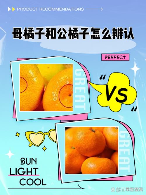 如何用AI准确区分橘子和苹果?-第2张图片-广州国自机器人 如何用AI准确区分橘子和苹果?-第2张图片-广州国自机器人