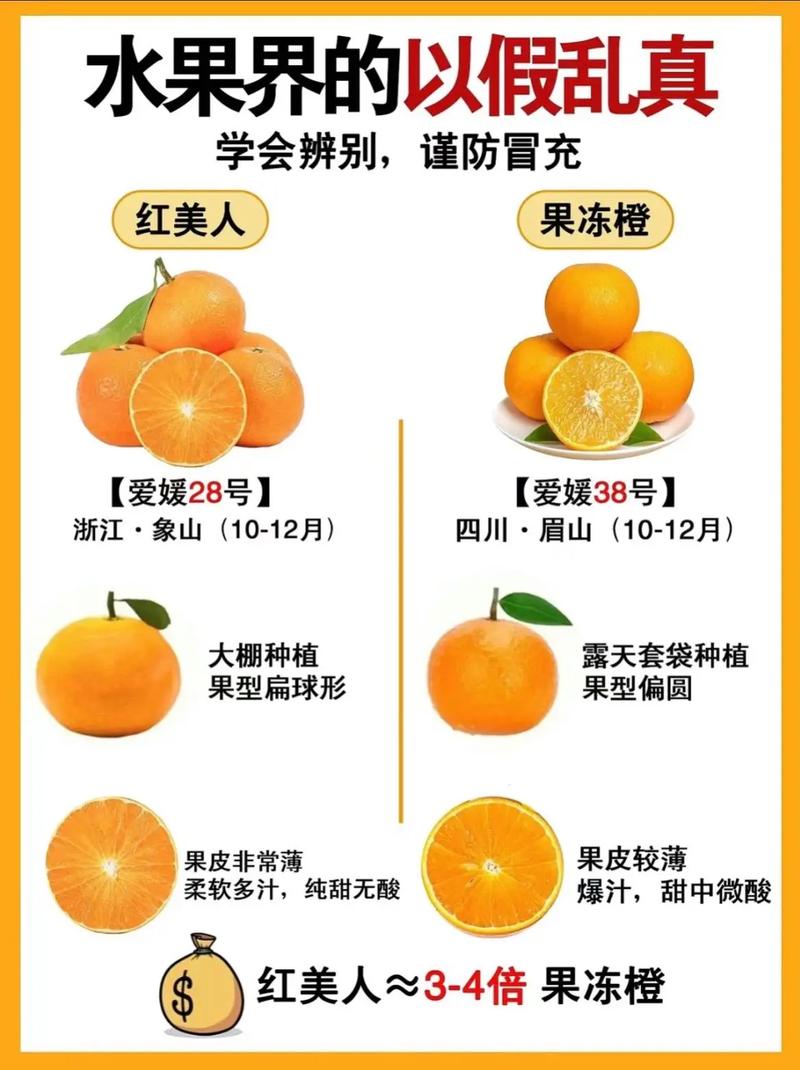 如何用AI准确区分橘子和苹果?-第3张图片-广州国自机器人 如何用AI准确区分橘子和苹果?-第3张图片-广州国自机器人