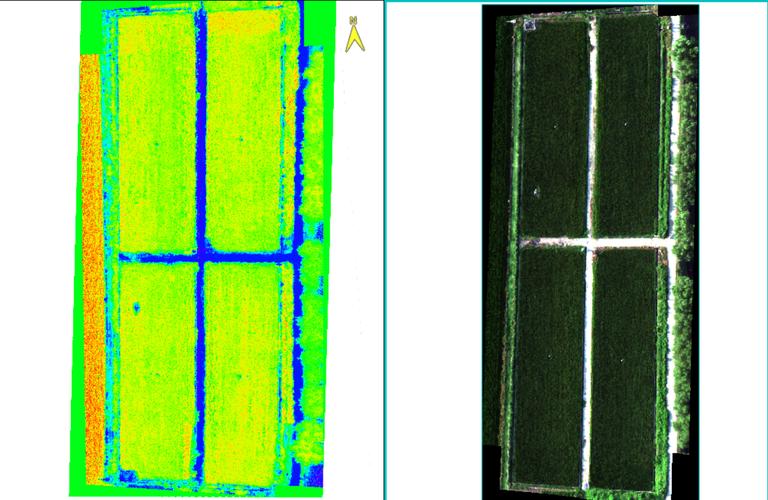 无人机高光谱遥感 农业-第2张图片-广州国自机器人