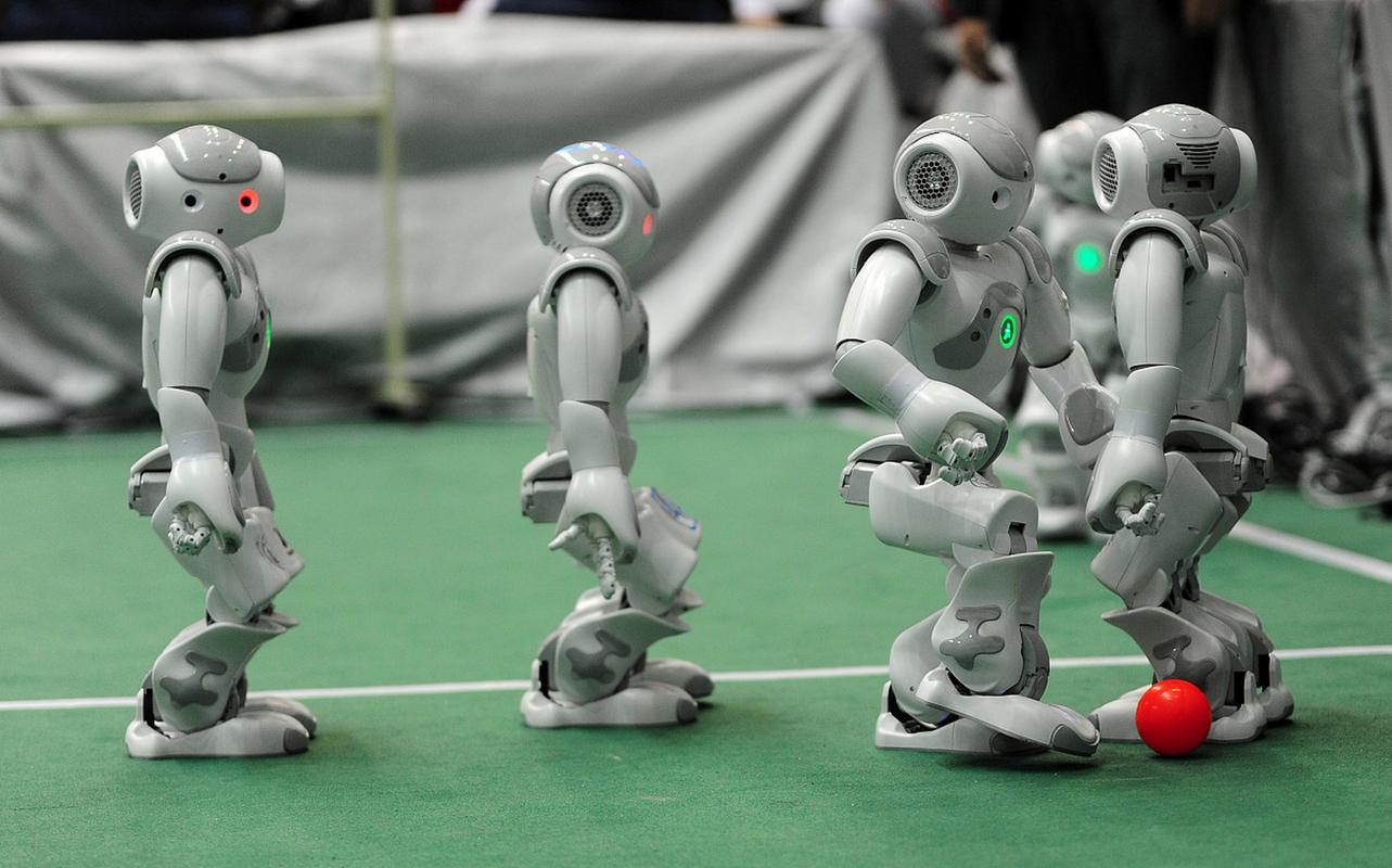 roboming机器人是什么？能做什么？-第2张图片-广州国自机器人