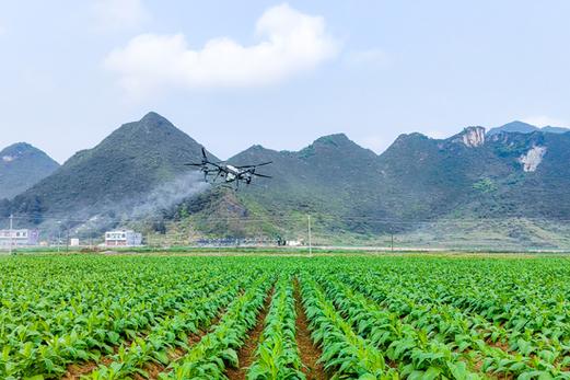 广西田园植保无人机视频有何看点？-第1张图片-广州国自机器人