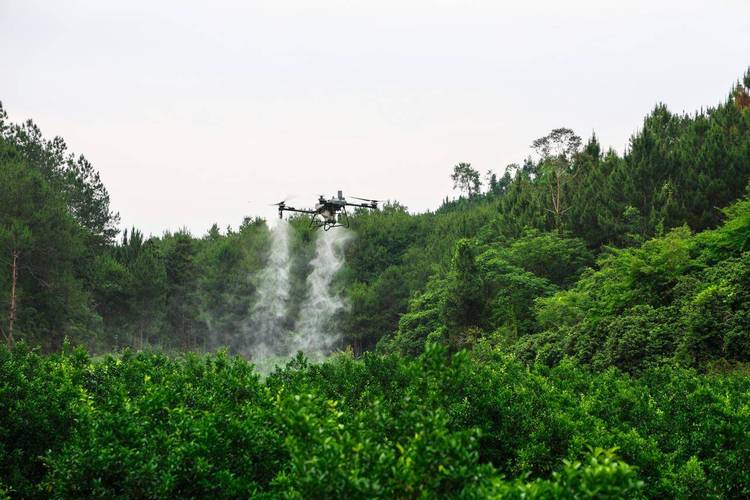 广西田园植保无人机视频有何看点？-第3张图片-广州国自机器人