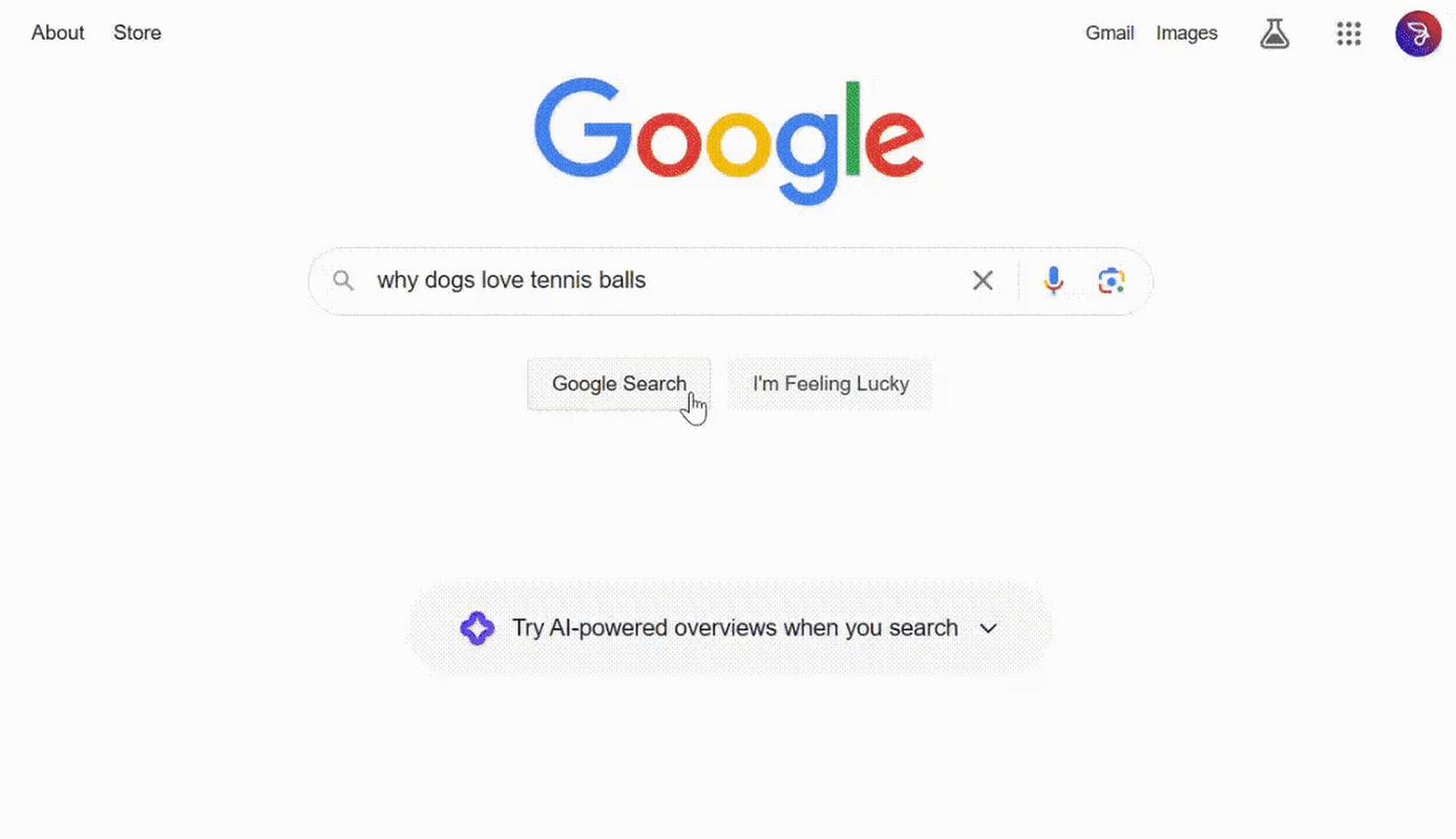 谷歌人工智能啥时候有的-第2张图片-广州国自机器人 谷歌人工智能啥时候有的-第2张图片-广州国自机器人