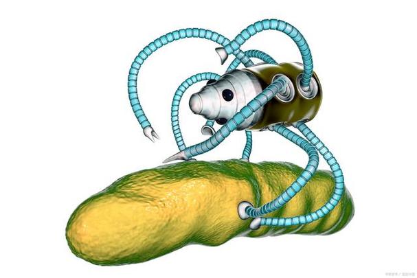 纳米机器人比微型机器人强在哪里？-第2张图片-广州国自机器人