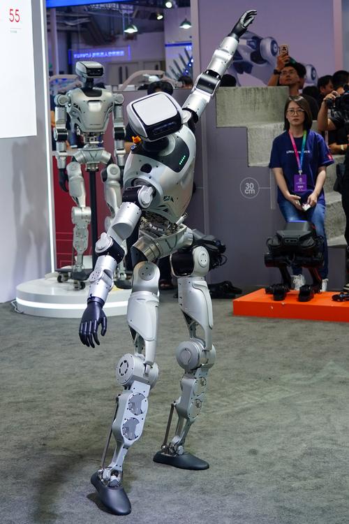 世界机器人大会,机器人如何改变未来?-第2张图片-广州国自机器人 世界机器人大会,机器人如何改变未来?-第2张图片-广州国自机器人