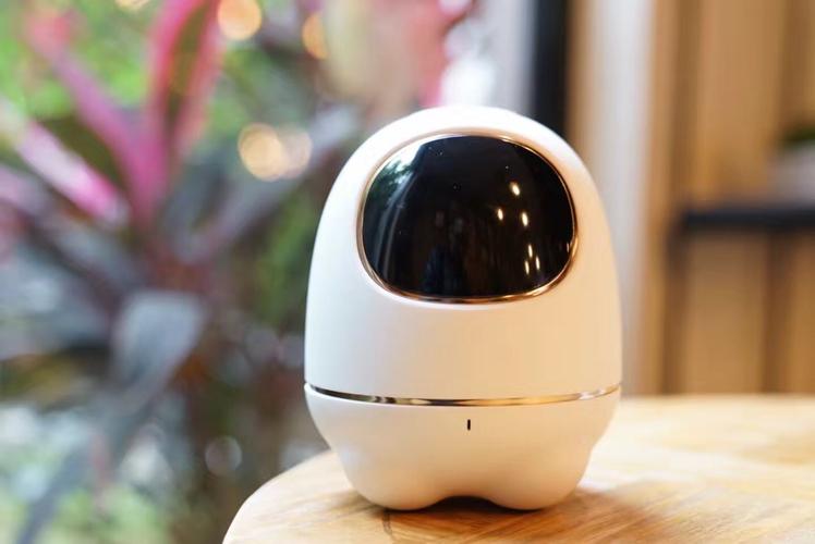 阿尔法小蛋机器人体验如何？-第1张图片-广州国自机器人