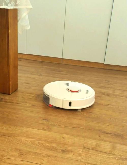 美国iron扫地机器人值不值得买?-第3张图片-广州国自机器人 美国iron扫地机器人值不值得买?-第3张图片-广州国自机器人