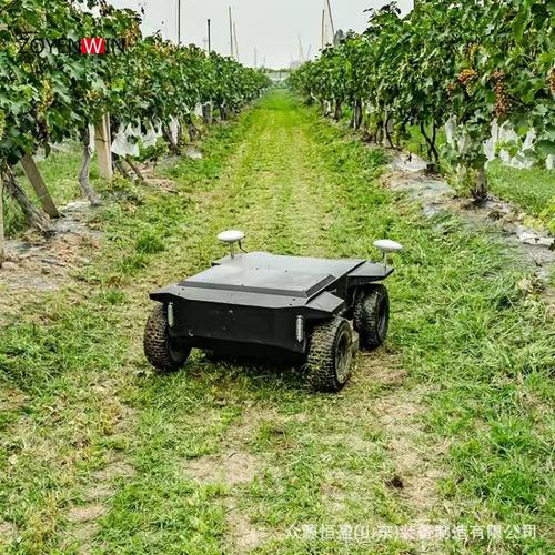 智能除草机器人如何精准GPS定位除草？-第2张图片-广州国自机器人