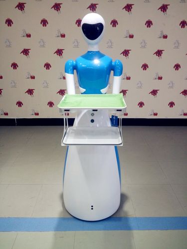 zooids机器人售价多少?-第3张图片-广州国自机器人 zooids机器人售价多少?-第3张图片-广州国自机器人