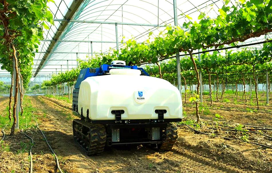 机器人农业如何用人工智能提升效率？-第1张图片-广州国自机器人