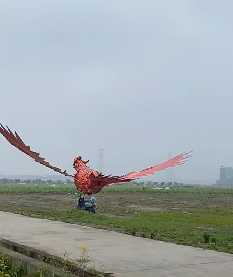 凤凰机器人图片大全大图有哪些？-第3张图片-广州国自机器人