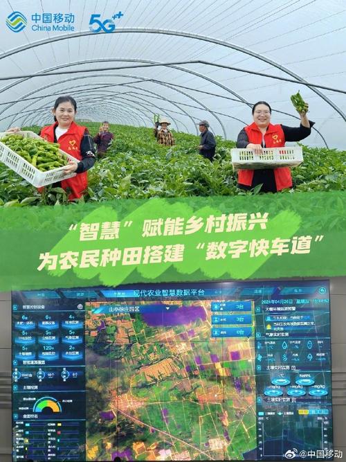 AI如何赋能农村信息服务?-第2张图片-广州国自机器人 AI如何赋能农村信息服务?-第2张图片-广州国自机器人