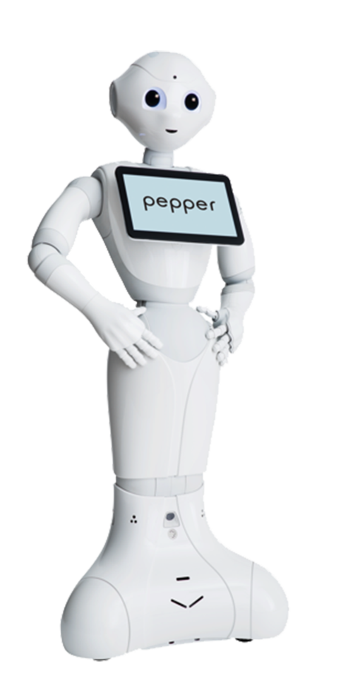 Pepper机器人官网有哪些核心功能？-第1张图片-广州国自机器人