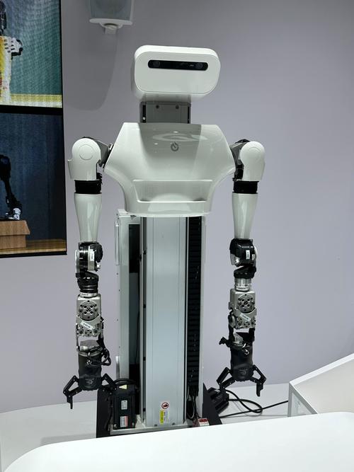 schaft人形机器人有何独特之处？-第2张图片-广州国自机器人