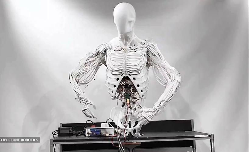 ananova机器人是什么？-第2张图片-广州国自机器人