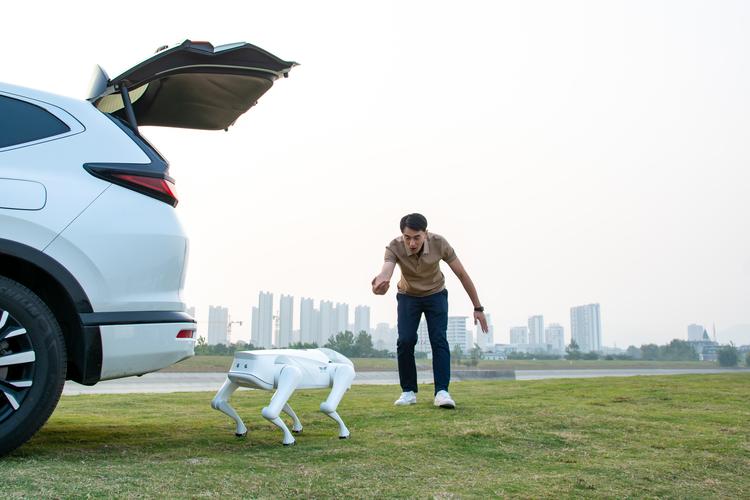 阿尔法狗零如何实现自我进化突破？-第1张图片-广州国自机器人