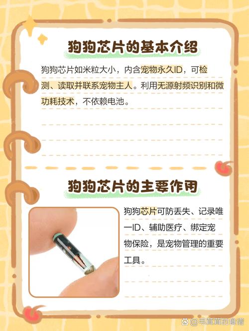 AI如何精准识别小狗？-第2张图片-广州国自机器人