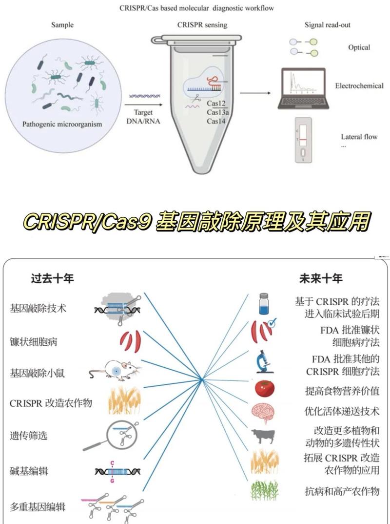 人工智能与基因编辑技术将如何重塑未来？-第1张图片-广州国自机器人