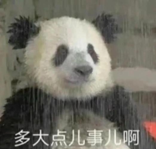 如何自己制作QQ机器人?-第1张图片-广州国自机器人 如何自己制作QQ机器人?-第1张图片-广州国自机器人