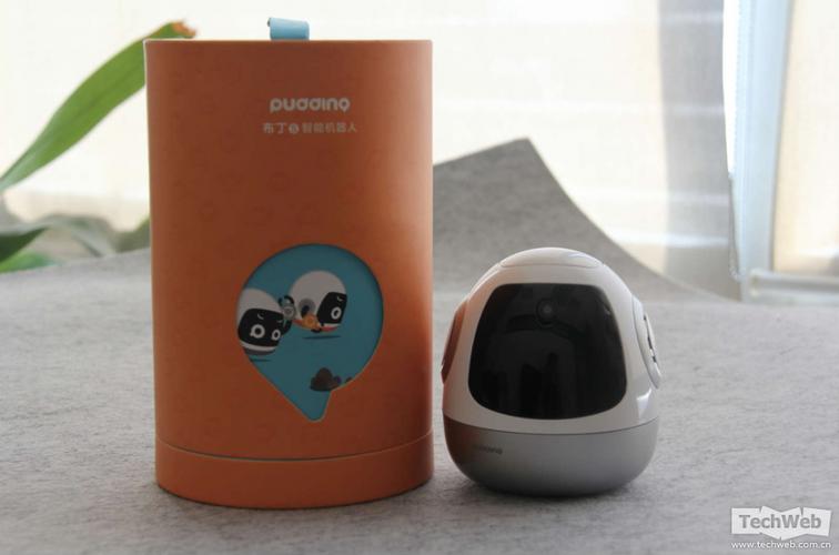 机器人布丁s和布丁有何不同？-第1张图片-广州国自机器人