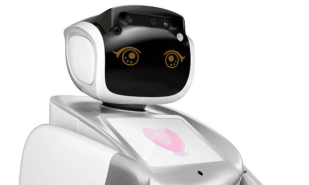 Sanbot机器人价格多少？具体型号报价是怎样的？-第3张图片-广州国自机器人