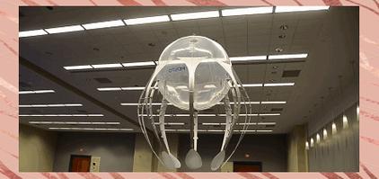 仿生机器人festo如何模仿生命运动？-第1张图片-广州国自机器人