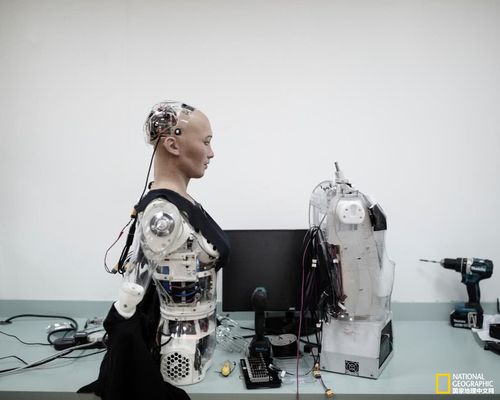 美国仿真机器人索非亚-第2张图片-广州国自机器人