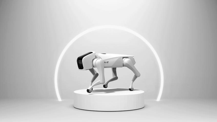 阿尔法机器人如何实现视频连接？-第3张图片-广州国自机器人