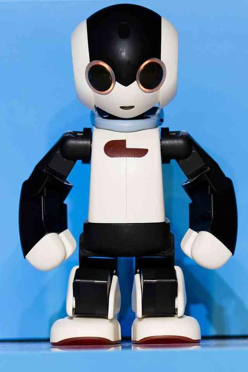 100robi机器人-第2张图片-广州国自机器人