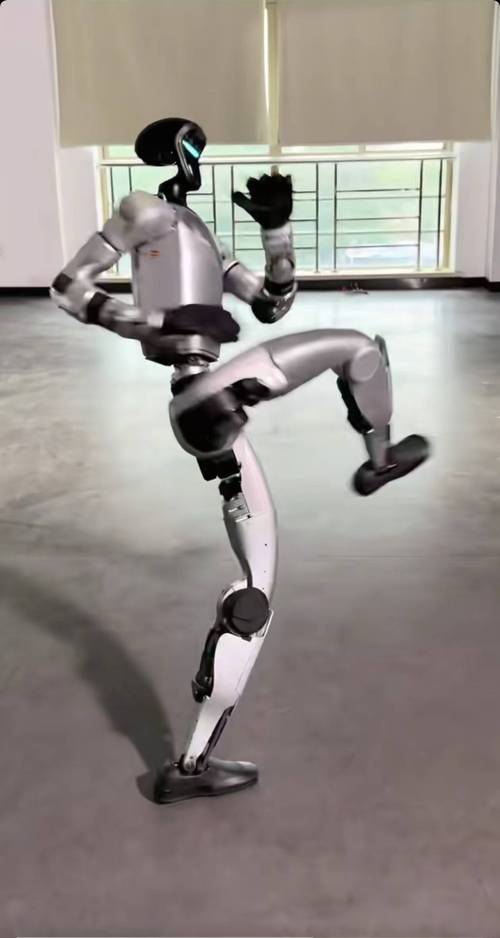 珠峰机器人高清图有何特别之处？-第1张图片-广州国自机器人