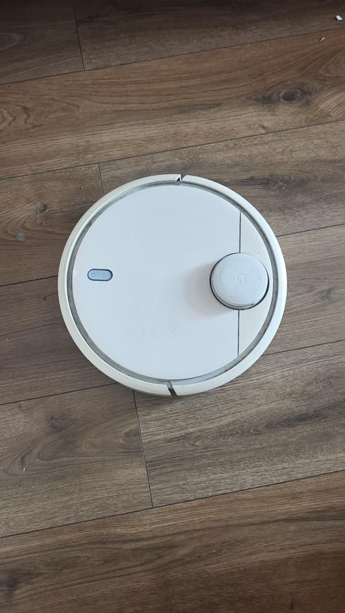 小米石头机器人618活动价多少？-第1张图片-广州国自机器人