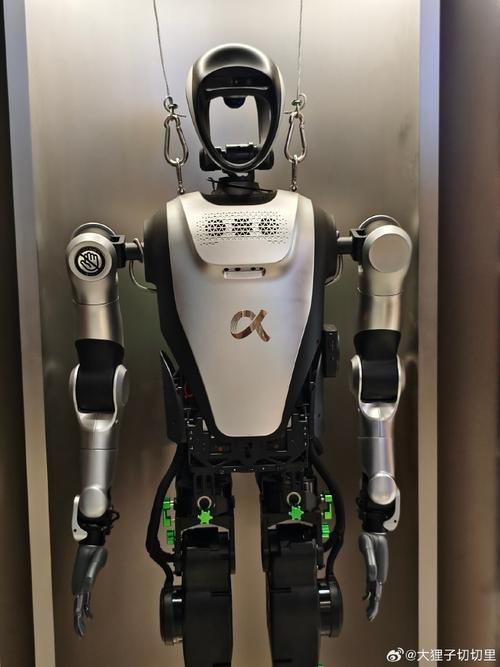 阿尔法机器人广州门店有何独特之处？-第2张图片-广州国自机器人