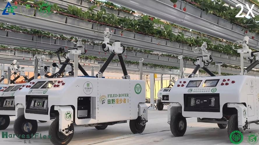草莓采摘机器人如何实现高效作业？-第2张图片-广州国自机器人