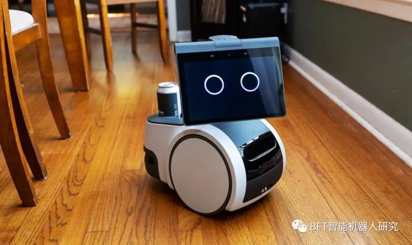 亚马逊AI核心人员有哪些?-第3张图片-广州国自机器人 亚马逊AI核心人员有哪些?-第3张图片-广州国自机器人