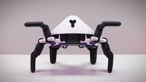 hexa机器人结构有何独特设计？-第3张图片-广州国自机器人