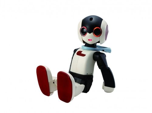 Robi机器人哪里能买到？-第3张图片-广州国自机器人