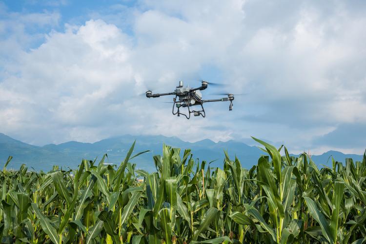 无人机在农业应用前景如何？-第3张图片-广州国自机器人