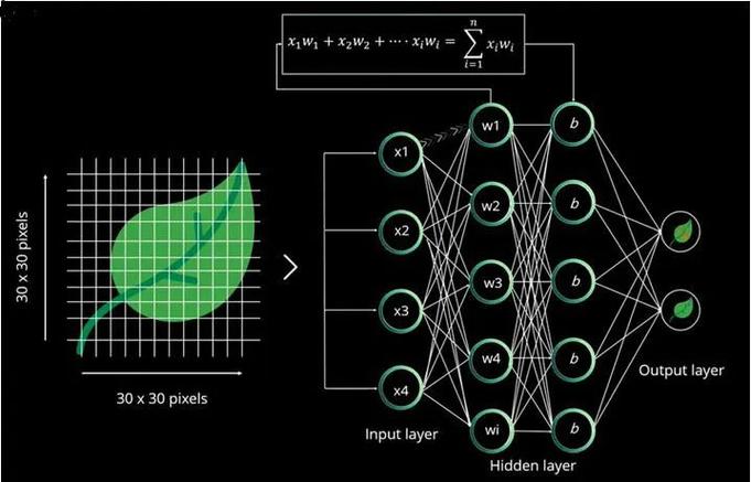 人工神经网络与人工智能有何关联?-第3张图片-广州国自机器人 人工神经网络与人工智能有何关联?-第3张图片-广州国自机器人