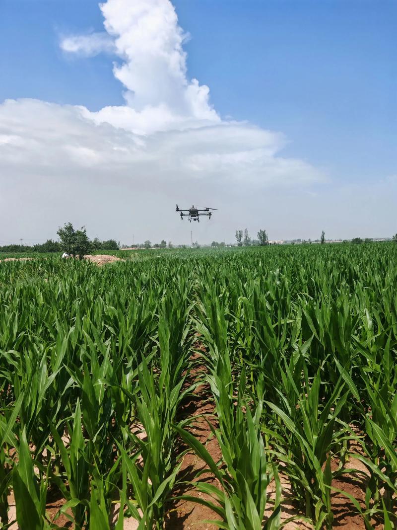 2025年植保无人机如何改变农业?-第2张图片-广州国自机器人 2025年植保无人机如何改变农业?-第2张图片-广州国自机器人