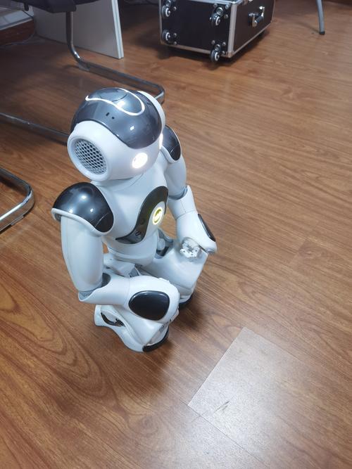 智能机器人nao小宝有何独特功能?-第3张图片-广州国自机器人 智能机器人nao小宝有何独特功能?-第3张图片-广州国自机器人