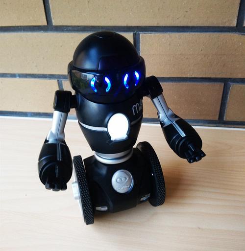 双轮智能机器人mip有何独特功能？-第1张图片-广州国自机器人