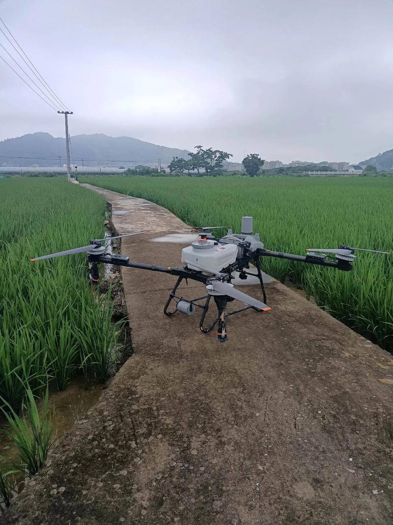 无人机打农药一亩收费多少？-第1张图片-广州国自机器人