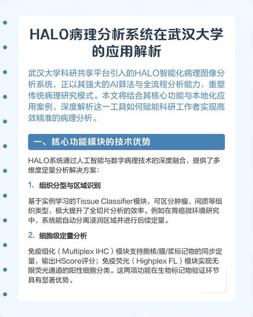 人工智能分级Halo具体指什么?-第3张图片-广州国自机器人 人工智能分级Halo具体指什么?-第3张图片-广州国自机器人