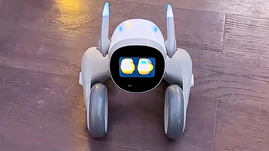 逗比机器人dobi是谁？-第3张图片-广州国自机器人